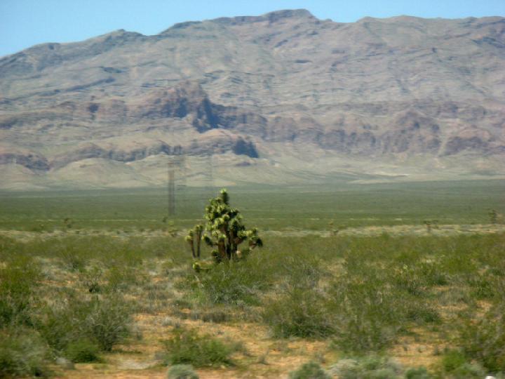 14-Valley of Fire 0002.JPG